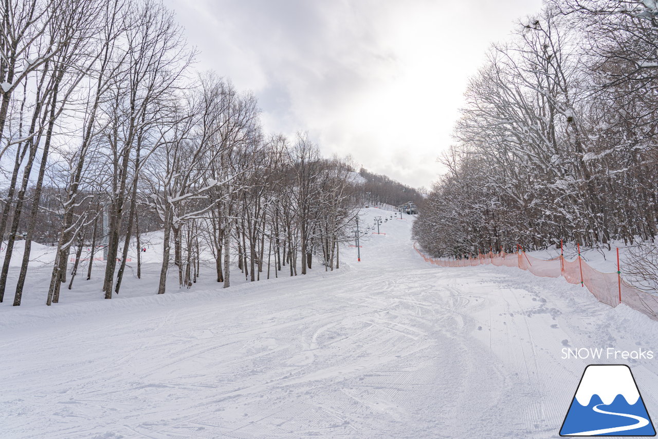 Fu's snow area - フッズスノーエリア｜初心者にも優しい緩斜面から上級者も唸る急斜面まで、只今コンディション良好なコースがお待ちかねです(^^♪